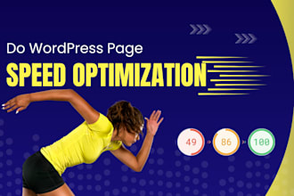 do wordpress page speed optimization