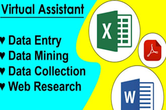do data entry, data input, data mining and copy paste work