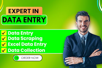 fastest data entry, copy paste, typing and excel data entry
