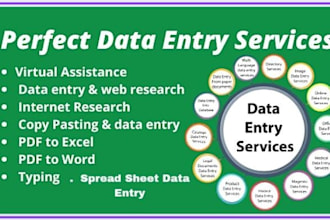 do data input in excel spreadsheet, data entry in google sheet