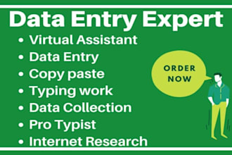 do data entry, data input, web research, copy and paste, excel data entry