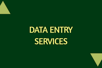 be virtual assistant for excel data entry
