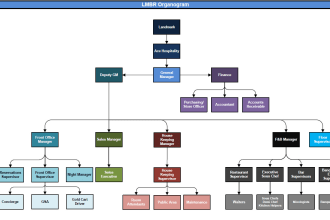 create organization chart, organogram or organization structure