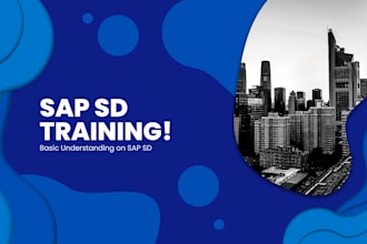 do basic sap otc training