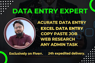 do accurate data entry, web research, excel data entry work and copy paste job
