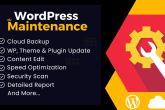 provide wordpress website maintenance, website update, and support