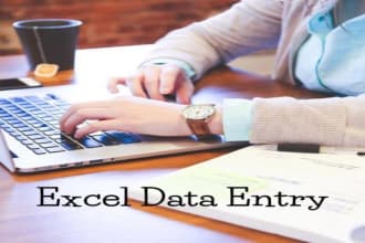 do excel data entry, data collection and copy paste