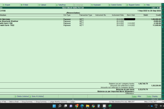 provide bookkeeping and accounting in tally software