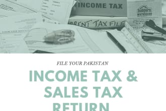 file your income tax returns and sales tax returns for pakistani tax authorities