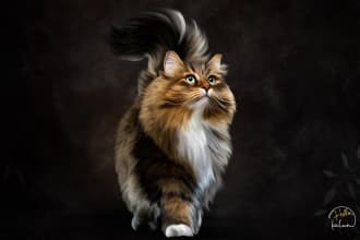 draw realistic digital oil painting pet portrait of your pet