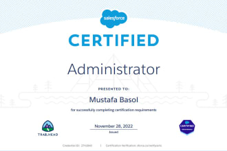 provide salesforce admin and developer solutions