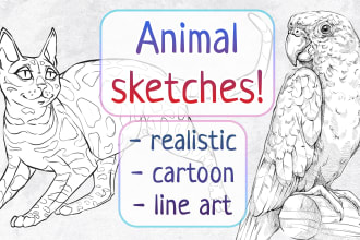 draw a sketch of any pet, wild animal, bird or fish