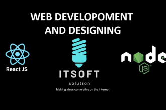 develop professional websites in mern stack, nodejs, rest api, react