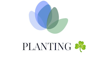 design 3d logo like cartoon,animation for bussiness