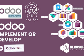 be your hired odoo developer to setup, implement, customize and manage odoo erp