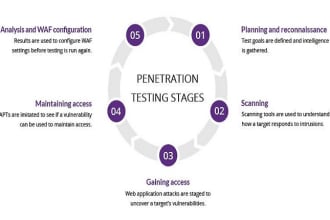 preform web application vapt