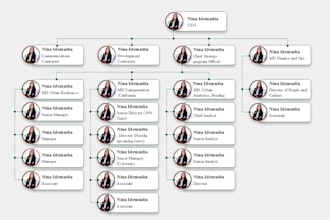 design professional organizational chart, flowchart, and powerpoint infographic