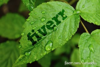 put your message or logo on a plant leaf
