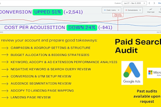 audit SEM account and provide ready to implement recommendations
