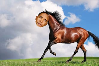 photoshop your face onto this beautiful horse
