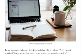 manage website content with SEO services, delegate now