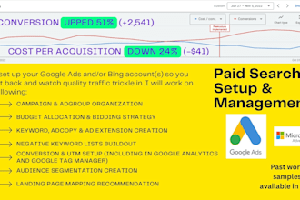 set up an operational google ads ppc account and manage optimization