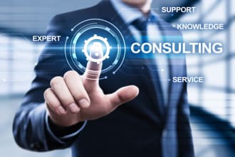 provide professional business consulting services