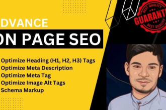 do on page SEO optimization of wordpress, shopify, wix