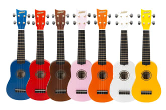 give you a lesson on how to play the Ukulele