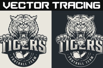 digitalize your sketch or existing logo into vector