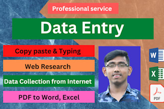 do professional data entry and typing job