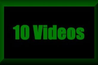 create 10 Videos Using Profit Monarch Video Software