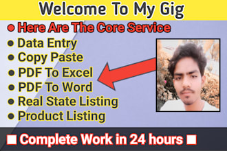 data entry, copy paste, PDF to word, PDF to excel