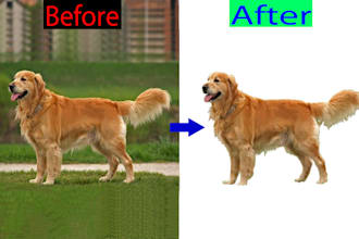 do professional image background removal super fast delivery