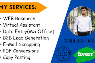 be your virtual assistant for web research,data entry,email scrapping