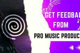 give professional feedback and advice by pro music producer