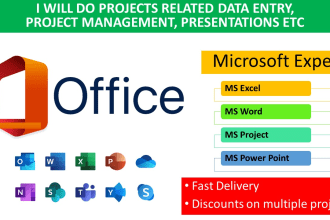 projects related to ms office