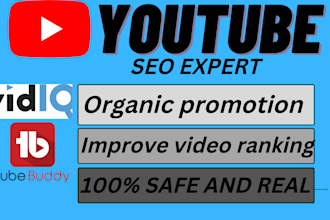 do organic youtube video promotion and viral channel