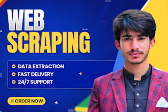 do web scraping, data mining, email extraction, and data entry for any website