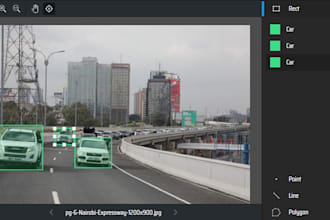 do image annotation, segmentation data labelling for ai model