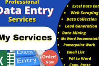 do excel data entry web scraping and data mining