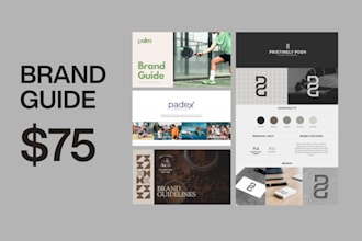 design a professional logo and brand kit