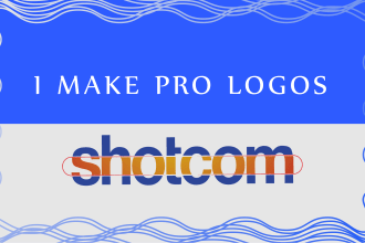 make a pro logo design and guidelines for your business