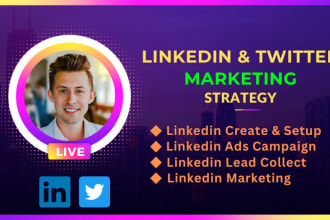 linkedin business page setup, marketing, and ads campaign