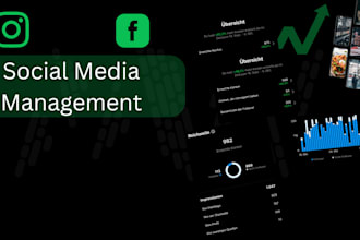 manage your social media editing, community management, postings