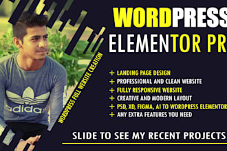 be your elementor expert with official wordpress website