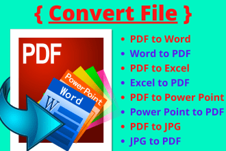 convert PDF to word, excel, PDF form, data entry, typing