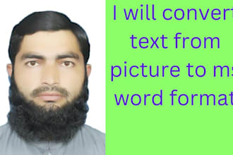 convert text from pictures to ms word format