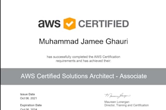 provide expert amazon web services solutions