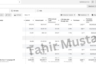 audit, set up, and manage your facebook and instagram ads